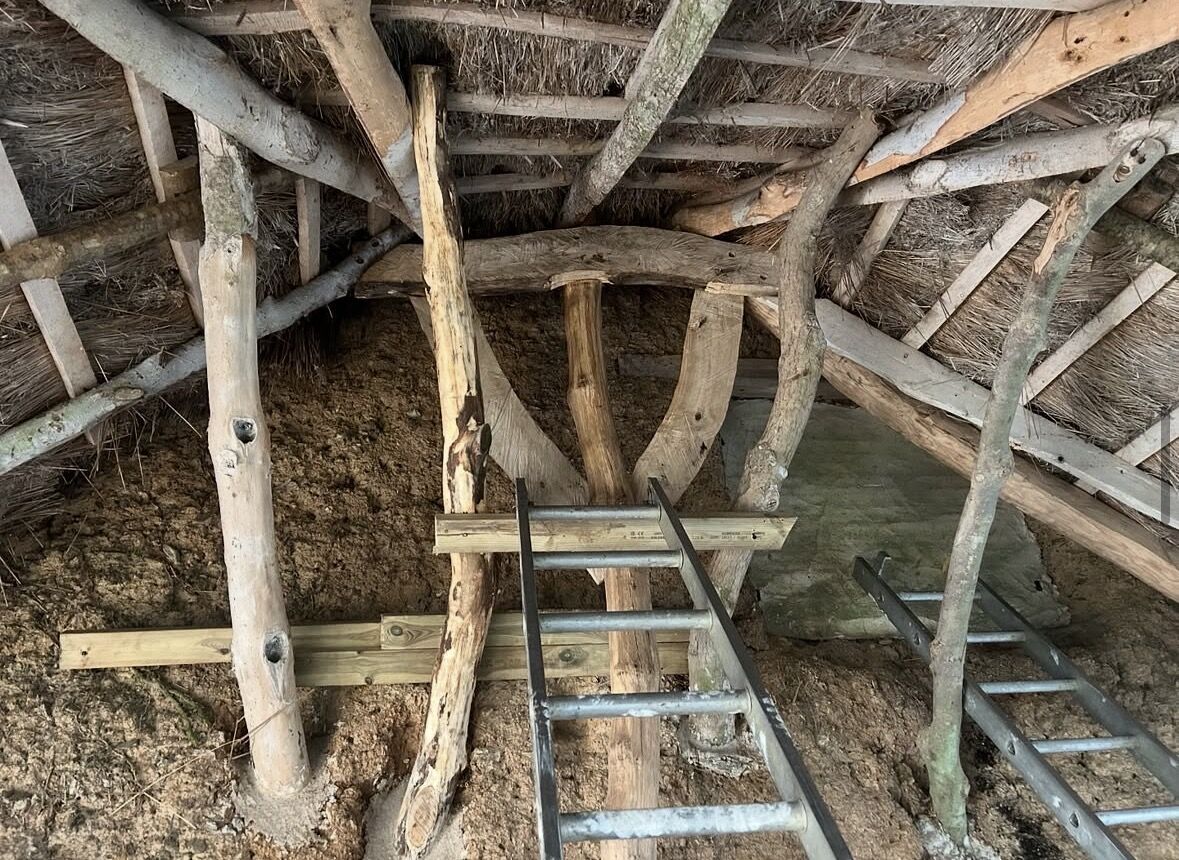 A view up into the rafters and timbers beneath a thatched roof under repair, with a ladder resting against the underbed