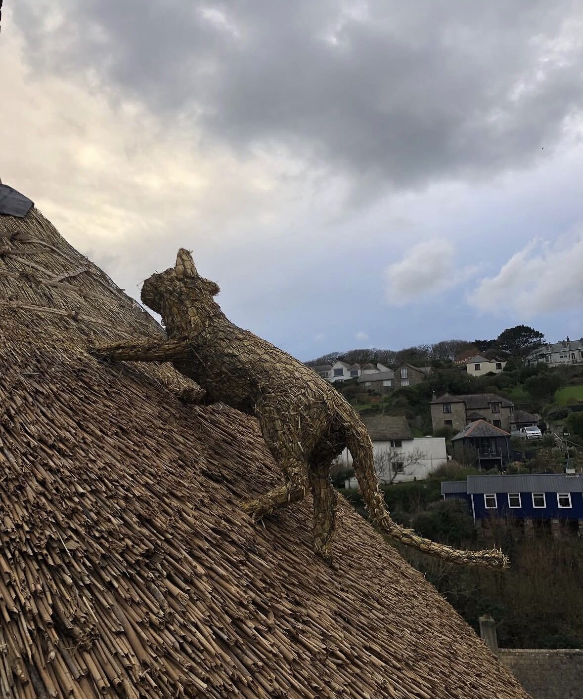 A straw finial shaped like a climbing cat perched on a thatched ridge above a coastal Cornish village
