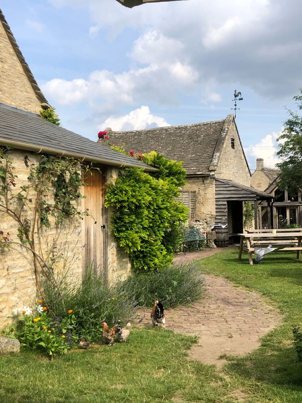 A cottage garden in full summer bloom